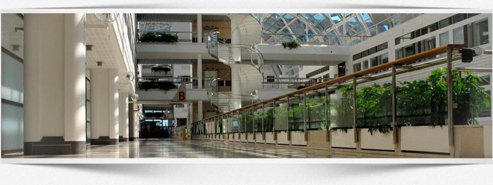 Limpieza de empresas y oficinas. Limpieza de empresas y oficinas.